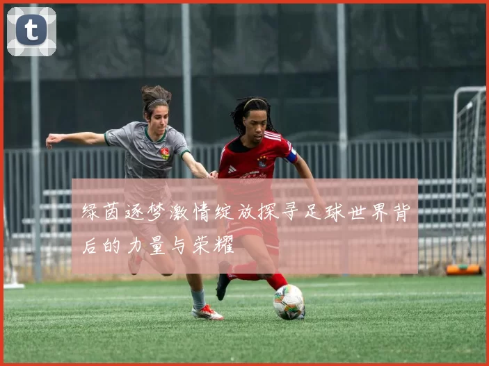 绿茵逐梦激情绽放探寻足球世界背后的力量与荣耀