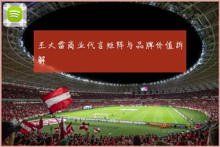 王大雷商业代言矩阵与品牌价值拆解