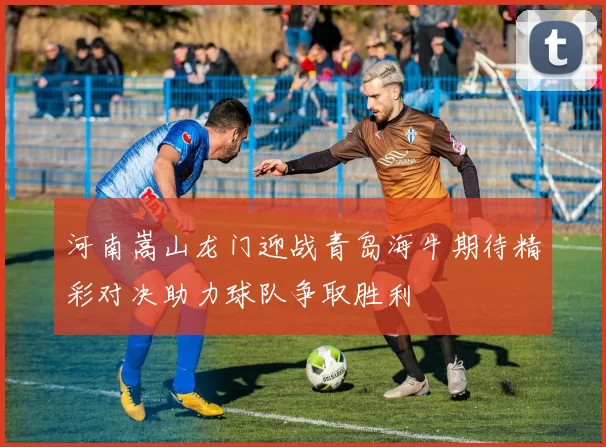 河南嵩山龙门迎战青岛海牛期待精彩对决助力球队争取胜利