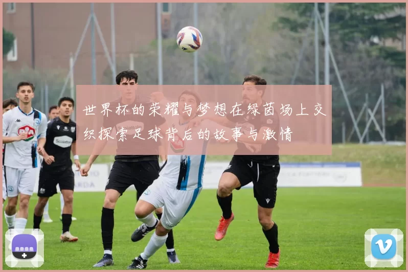 世界杯的荣耀与梦想在绿茵场上交织探索足球背后的故事与激情
