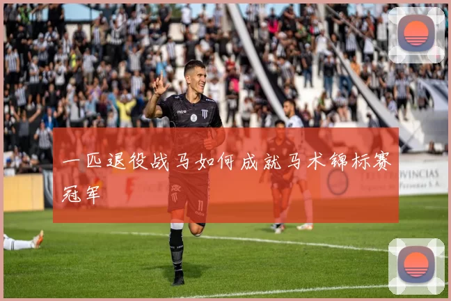 一匹退役战马如何成就马术锦标赛冠军