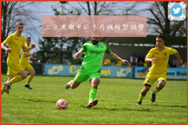 三分浪潮中公牛内线转型趋势