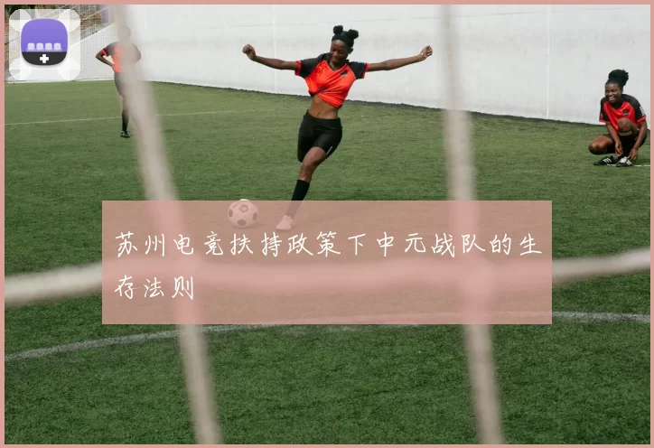 苏州电竞扶持政策下中元战队的生存法则